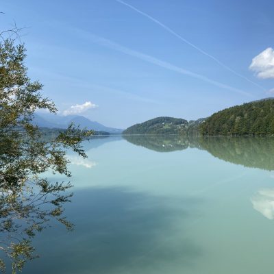 12923A6E-9FDA-4C7D-B383-130D6BFFFEBA