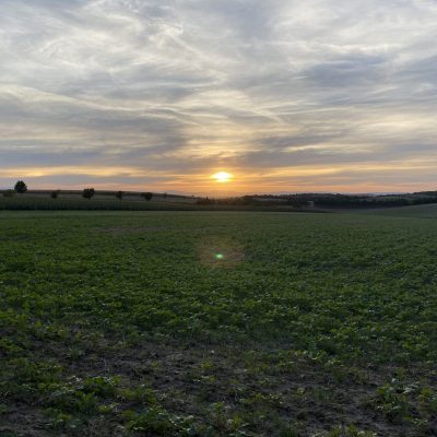 3D08D39E-6569-46AA-93A1-92D2C49E5567