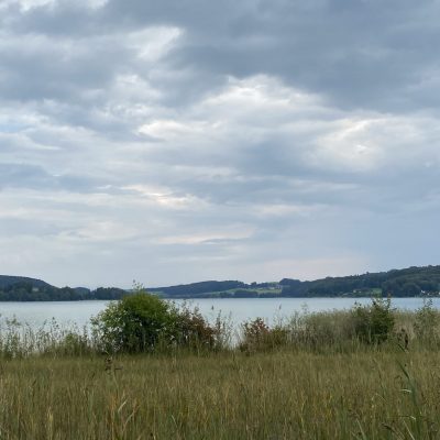 574B359A-2338-438E-86AD-1CB48A627290