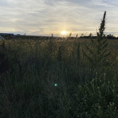 6420E615-33B5-4358-9549-8B198417D2F6