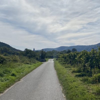 68D357BD-410B-42DD-91A1-F31996E37CE9