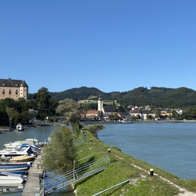 73BBC6E1-22A5-43C5-9AF6-F95F88E3C66E