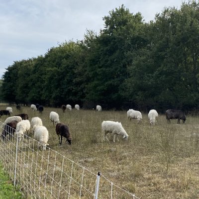 8E6C37B8-1975-440D-8B0F-93DF49304995