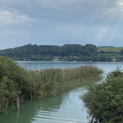 90684825-1A81-494D-AA86-EAEE672571EF