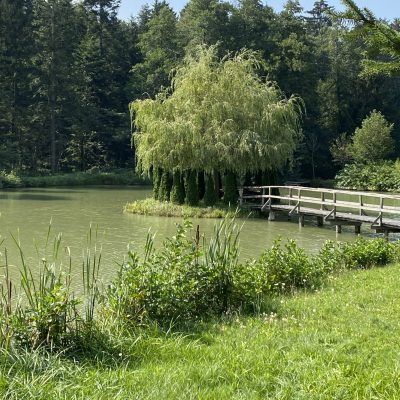 90B0EFB4-E54E-4767-9282-D3AE9C8A9AF7