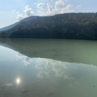 9EABE3FD-9938-492A-925D-85D532D6EAEE