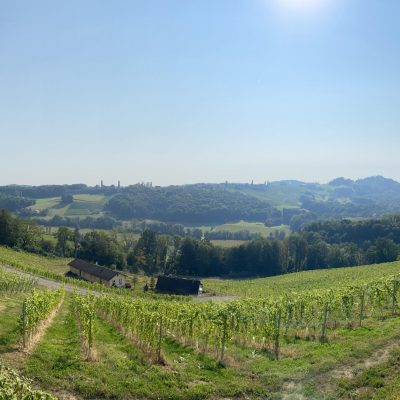 FDEA25EA-4E09-48BC-BF92-FBF1E912177C